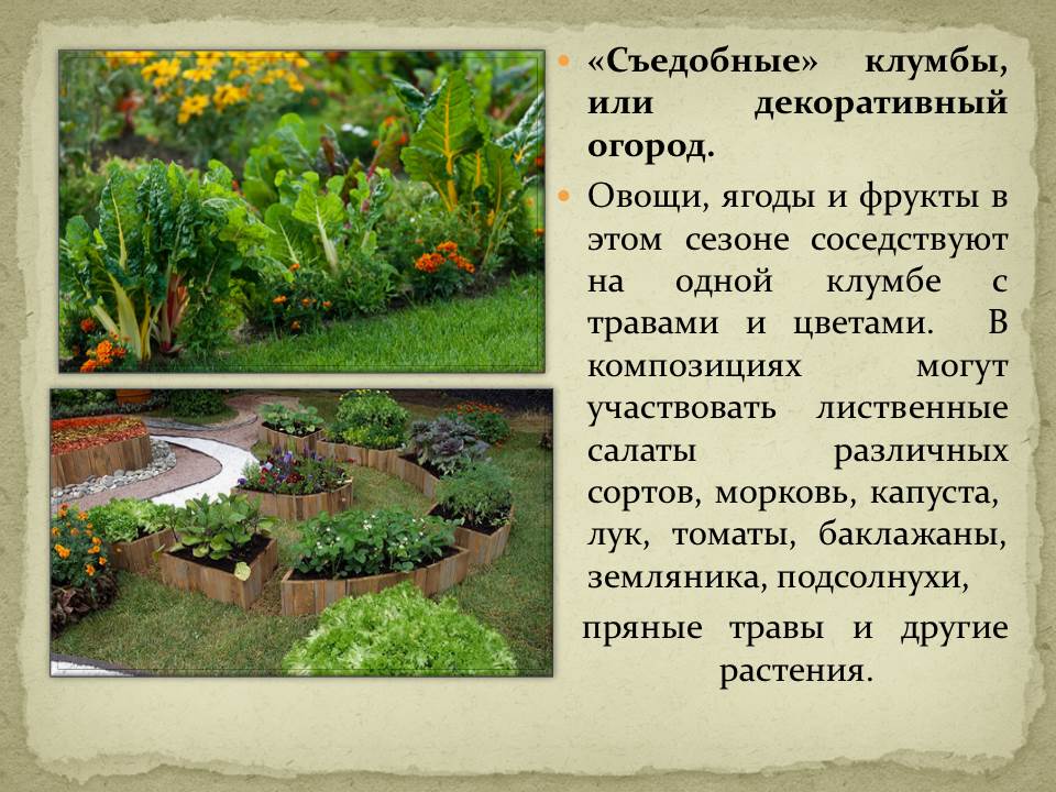 history-3-14